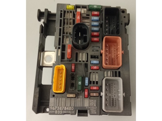 Bsm Citroen C4 2009 R05- 9675878480- R05-delphi (253673)