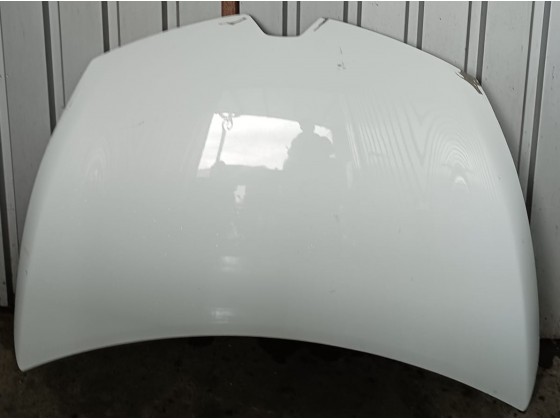 Capot Renault Clio IV (194995) 