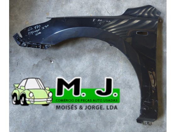 Guarda Lama Frente Esquerdo Hyundai I30(GL170)