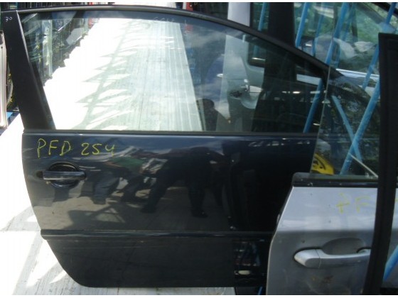 Porta Direita Volkswagen Golf V pfd254