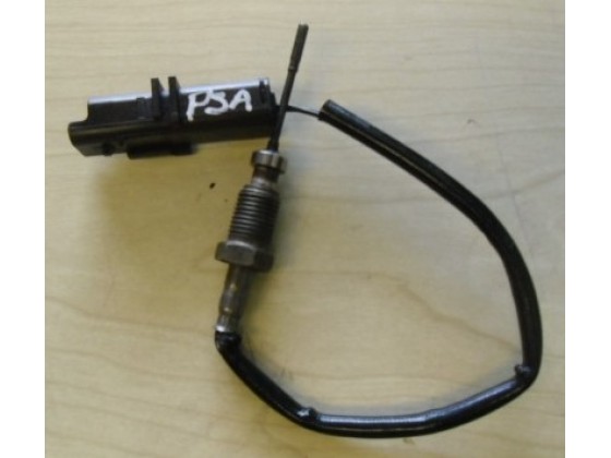 Sensor Temperatura PSA st7